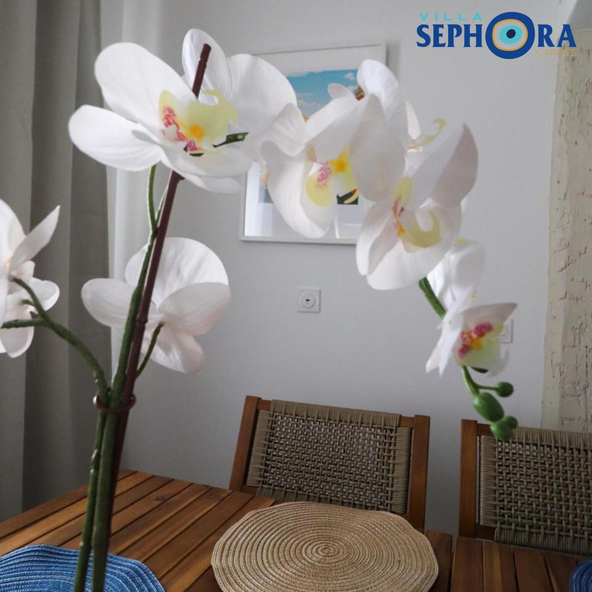 Villa Sephora Cannes Exteriér fotografie
